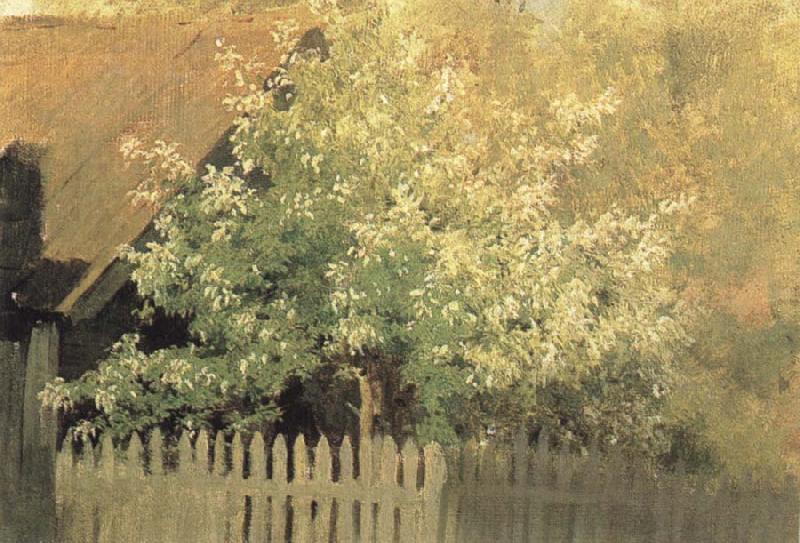 Levitan, Isaak Faulbeerbaum oil painting picture